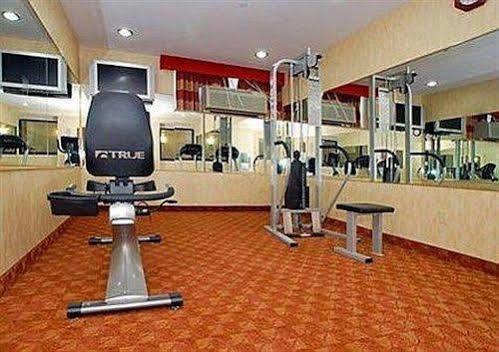 Lex View Inn At Jfk Airport New York Servizi foto